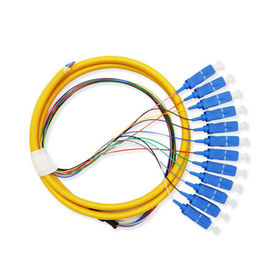 12 Core Fiber Optic Patch Cord Pigtail Sc Connector For Telecommunication Equipment
